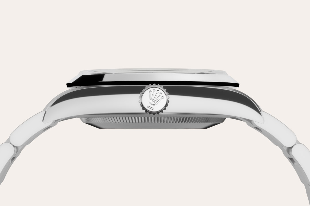 Rolex watch material image