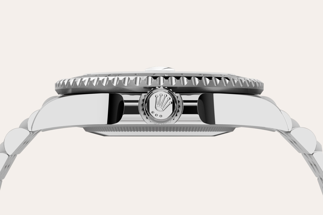 Rolex watch material image