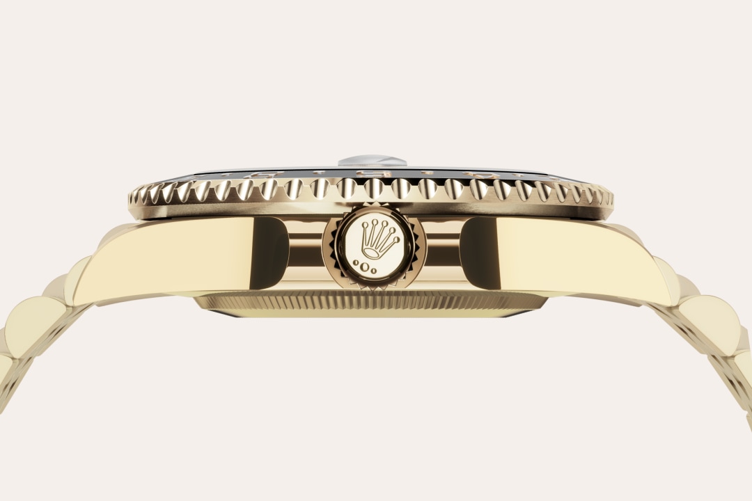 Rolex watch material image