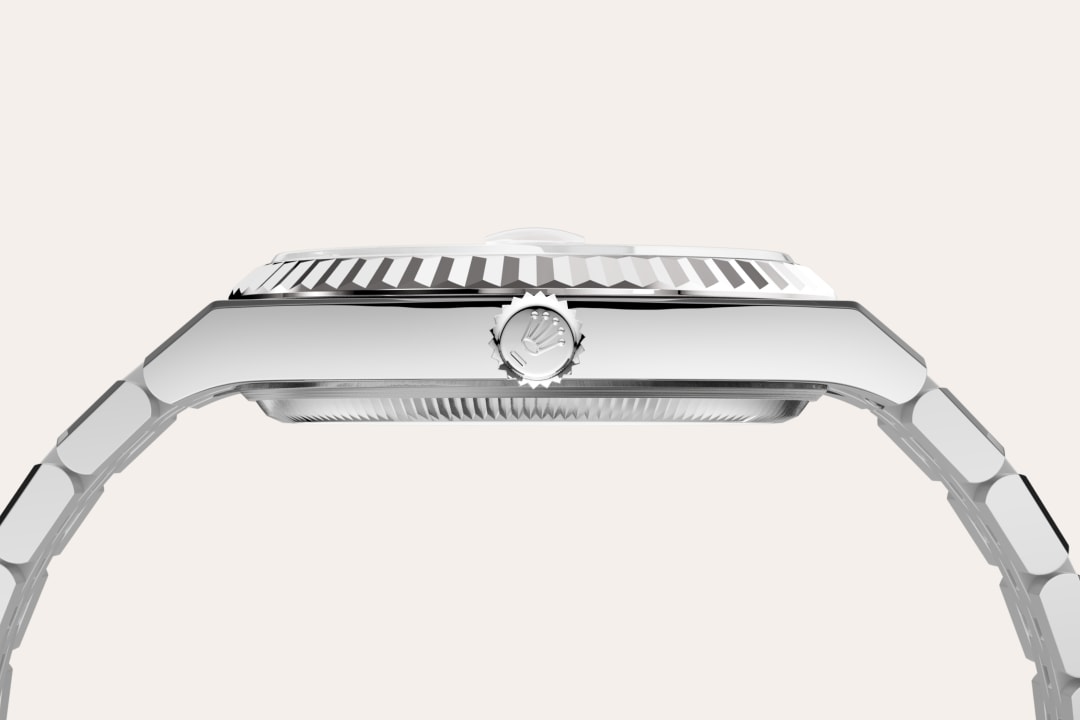 Rolex watch material image