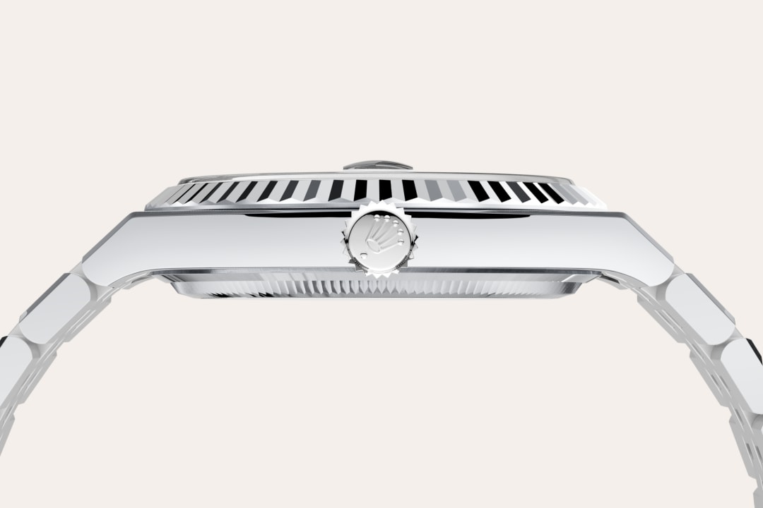 Rolex watch material image