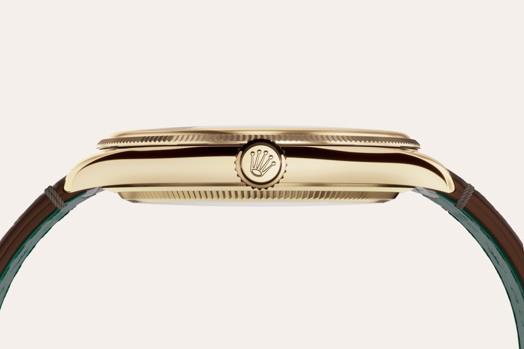Rolex watch material image