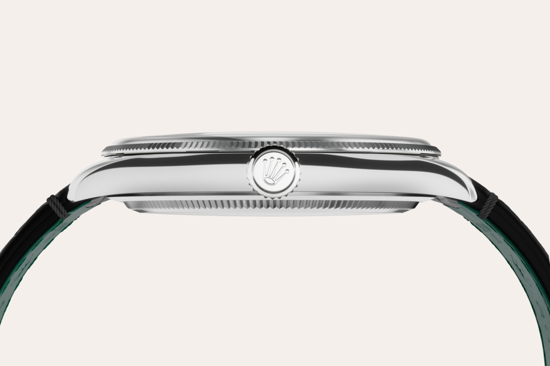 Rolex watch material image