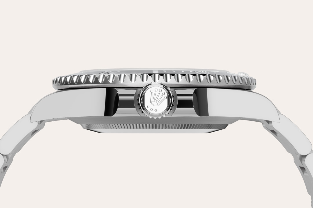 Rolex watch material image