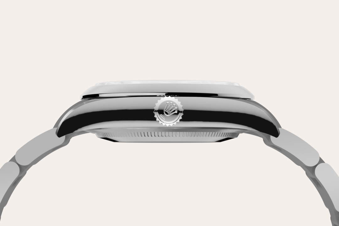 Rolex watch material image