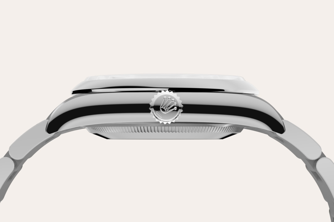 Rolex watch material image