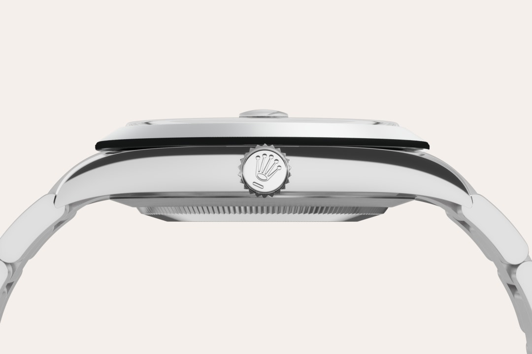 Rolex watch material image