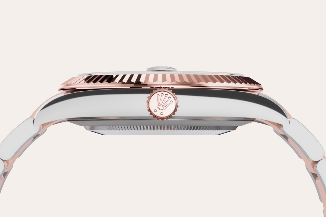 Rolex watch material image