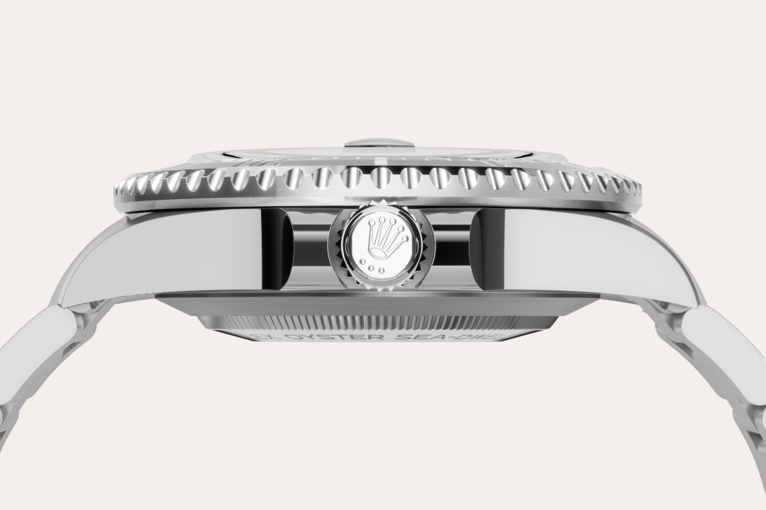 Rolex watch material image