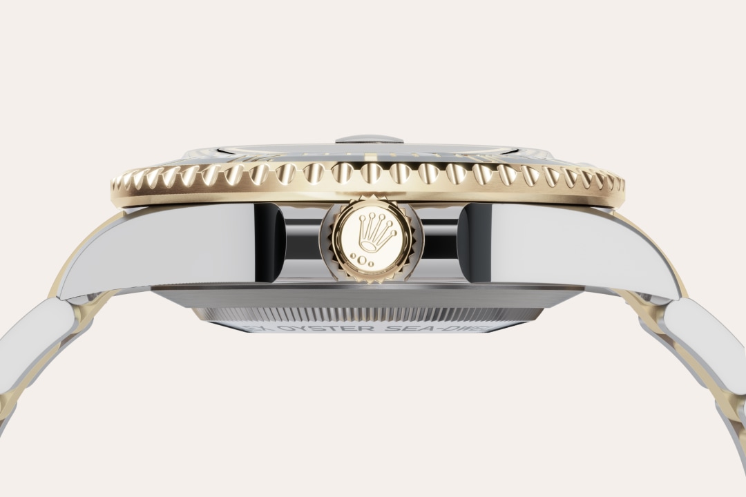 Rolex watch material image