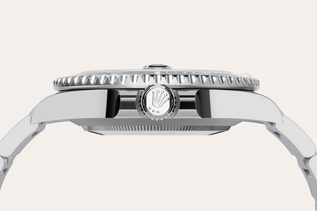 Rolex watch material image