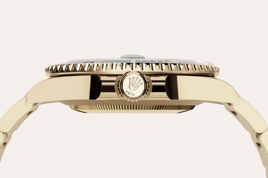 Rolex watch material image