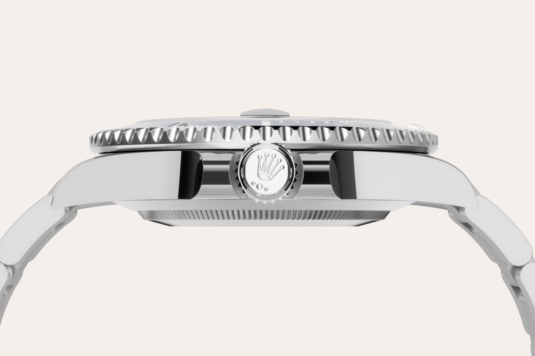 Rolex watch material image