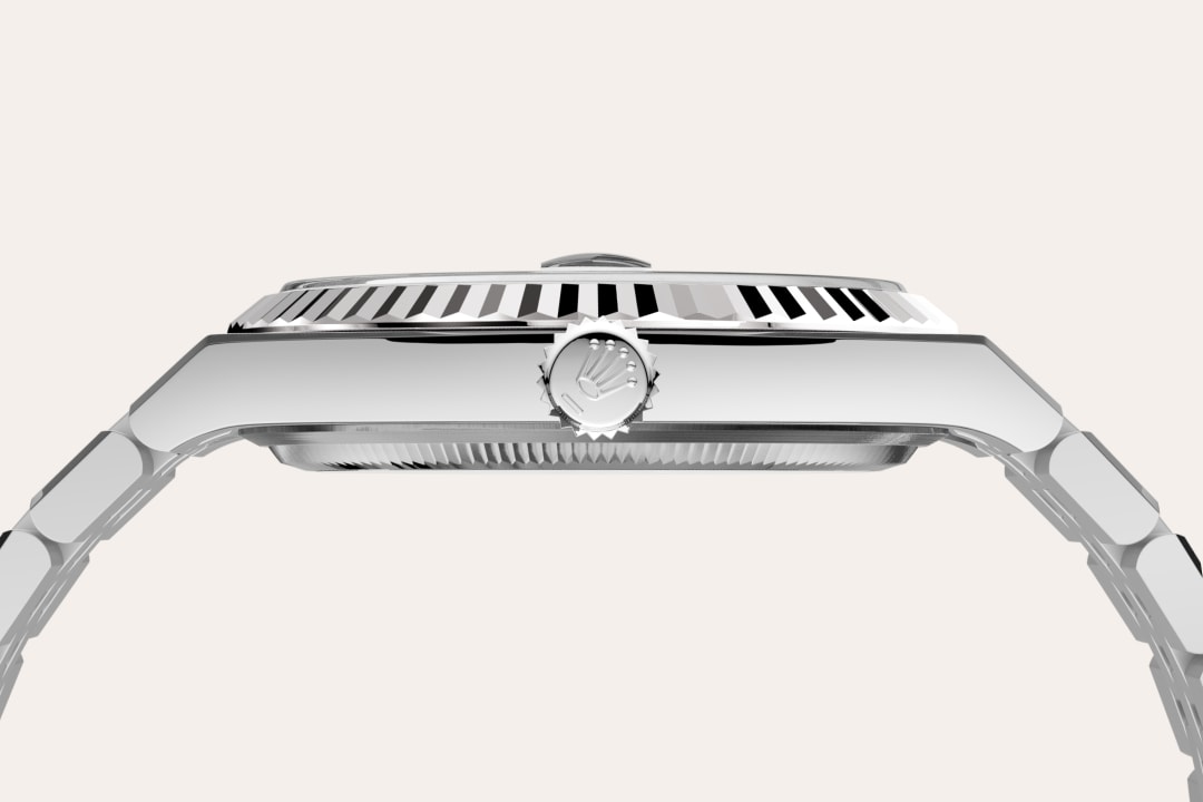 Rolex watch material image