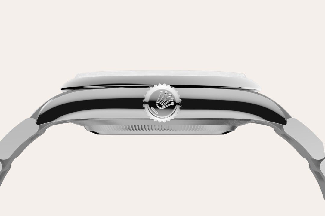 Rolex watch material image