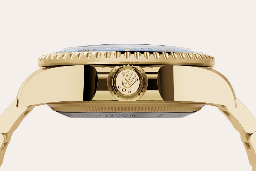 Rolex watch material image