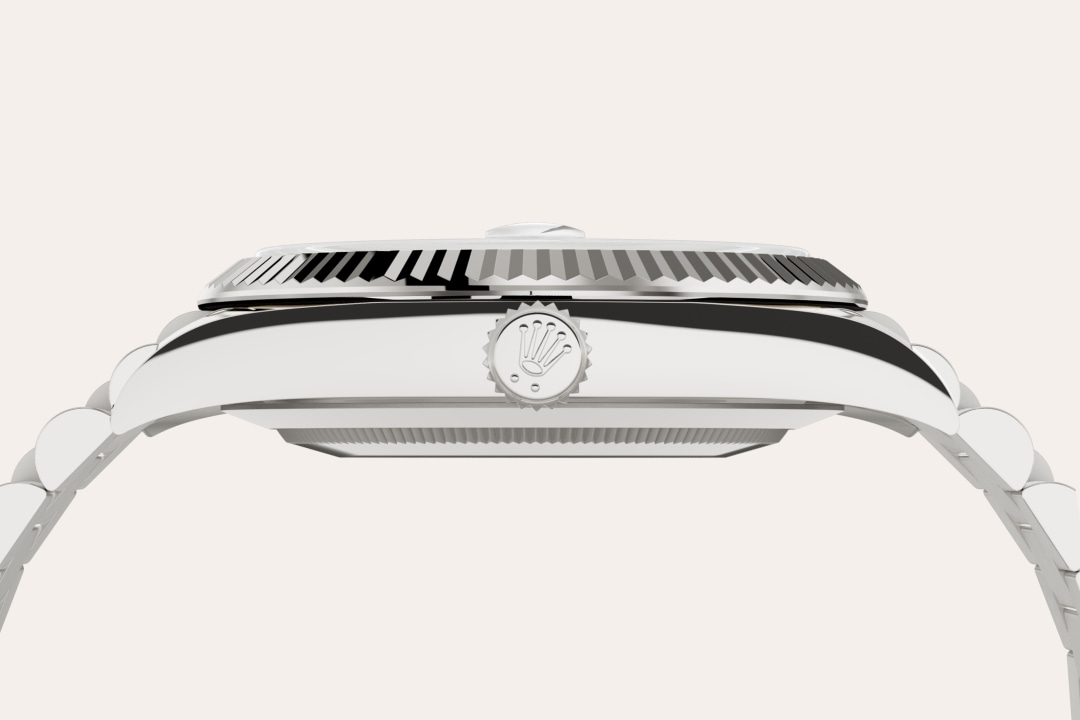 Rolex watch material image