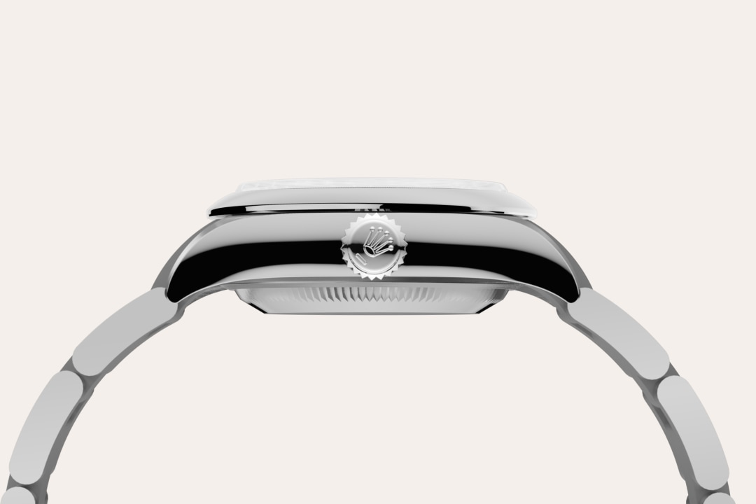 Rolex watch material image