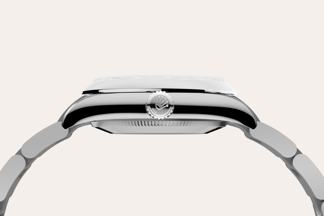 Rolex watch material image