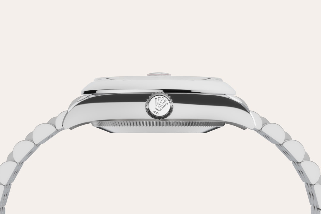 Rolex watch material image