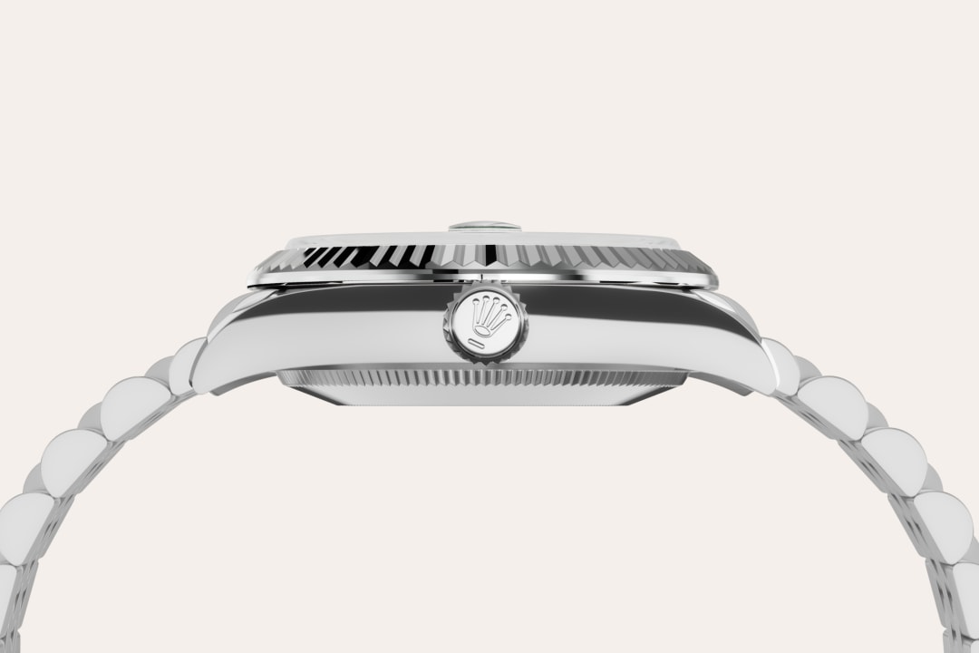 Rolex watch material image