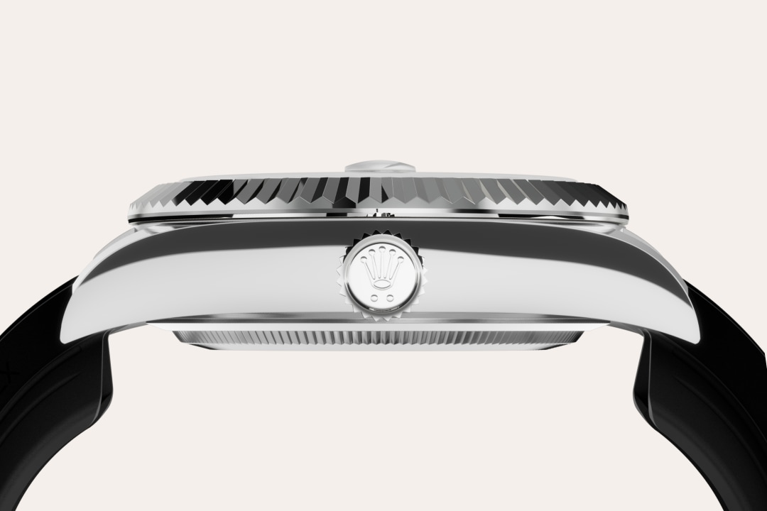 Rolex watch material image