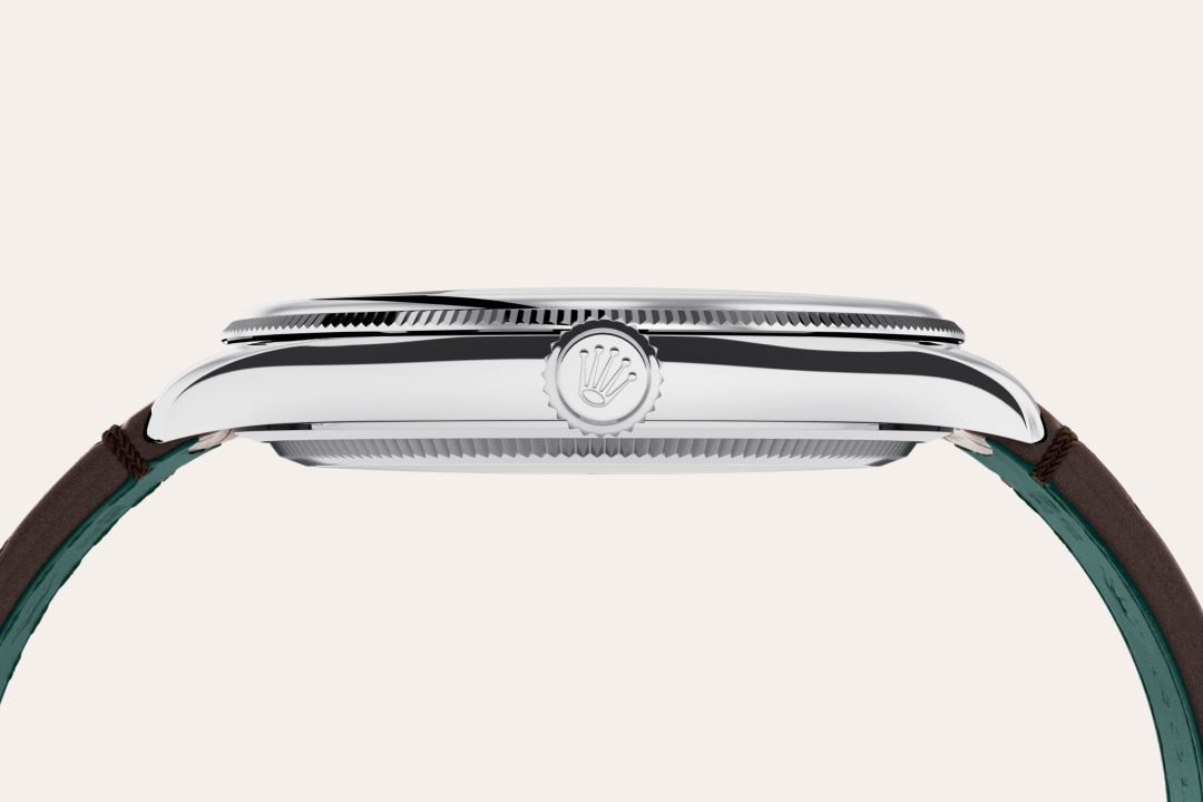 Rolex watch material image