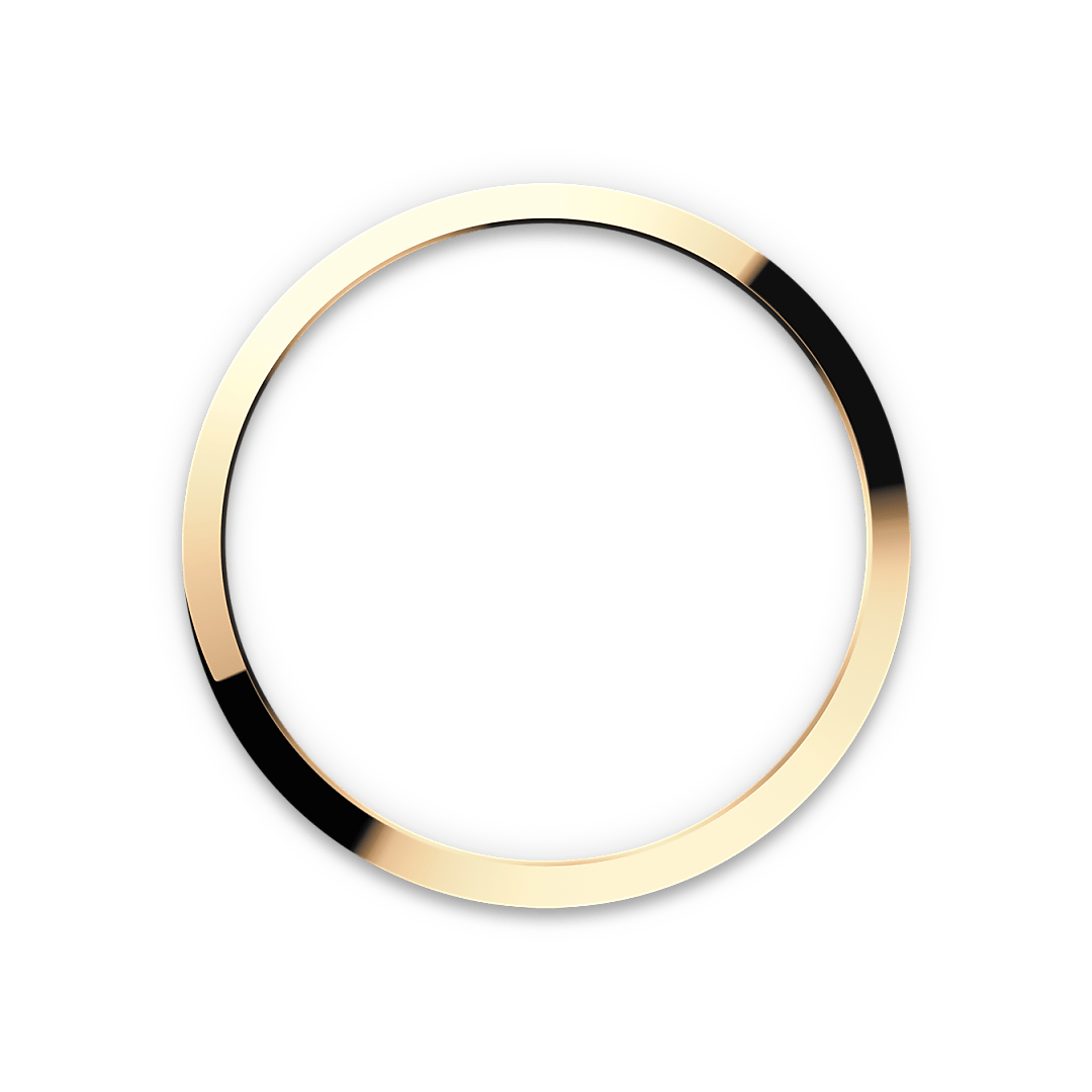 Rolex watch bezel image