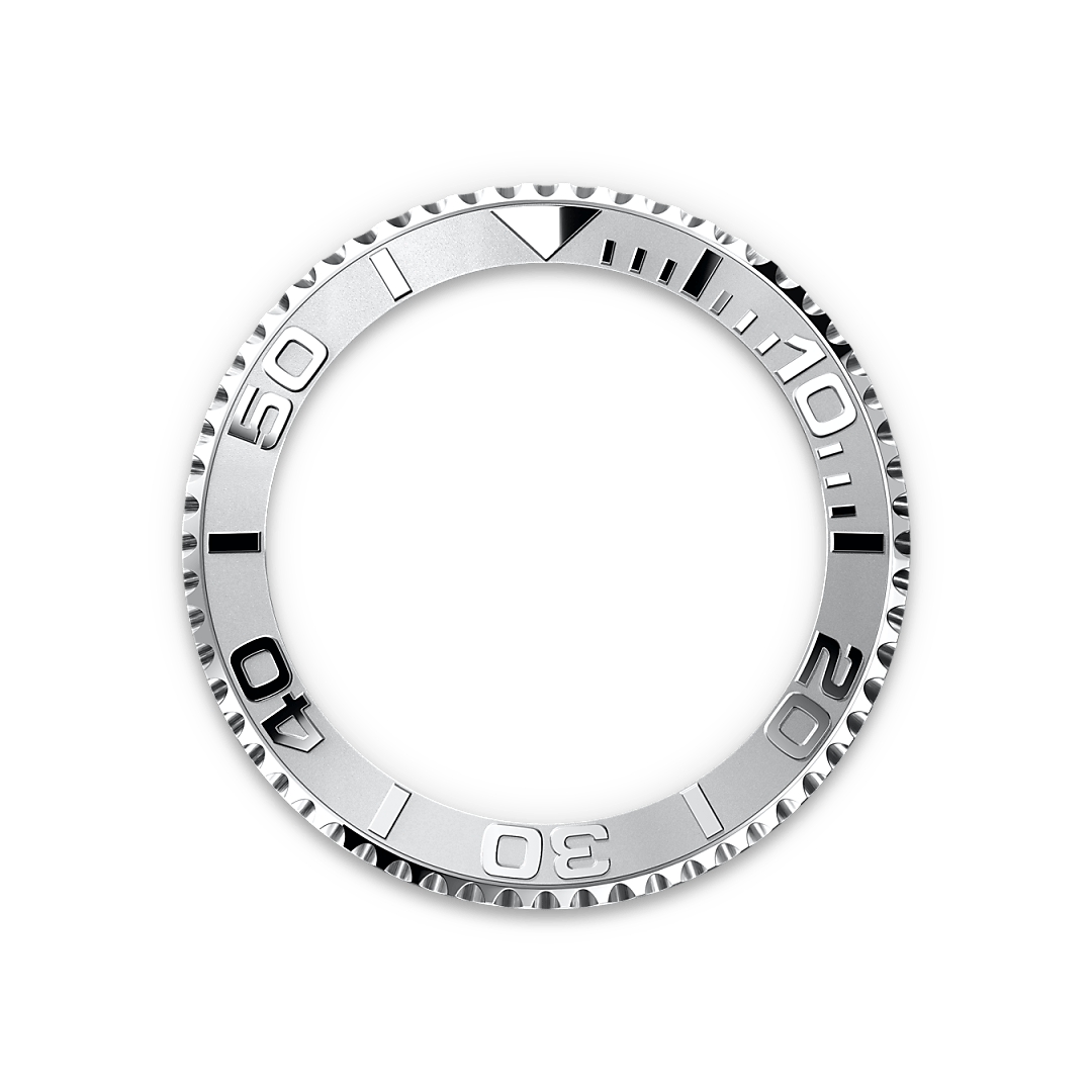 Rolex watch bezel image
