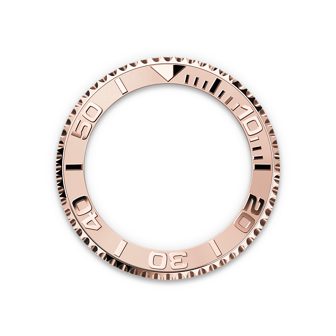 Rolex watch bezel image