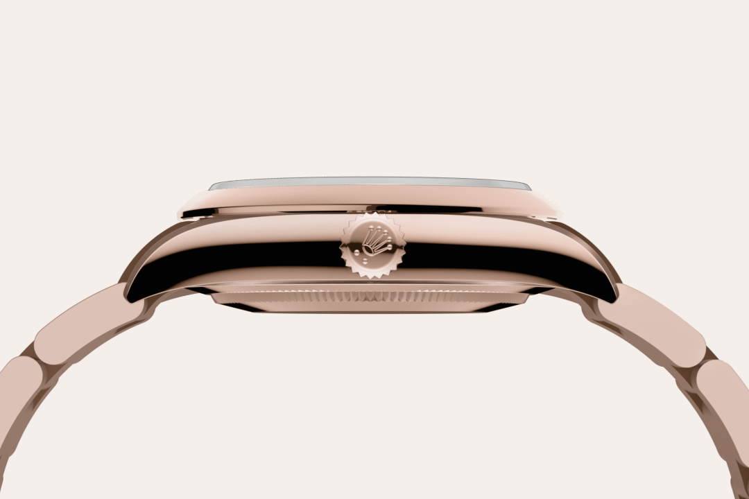 Rolex watch material image
