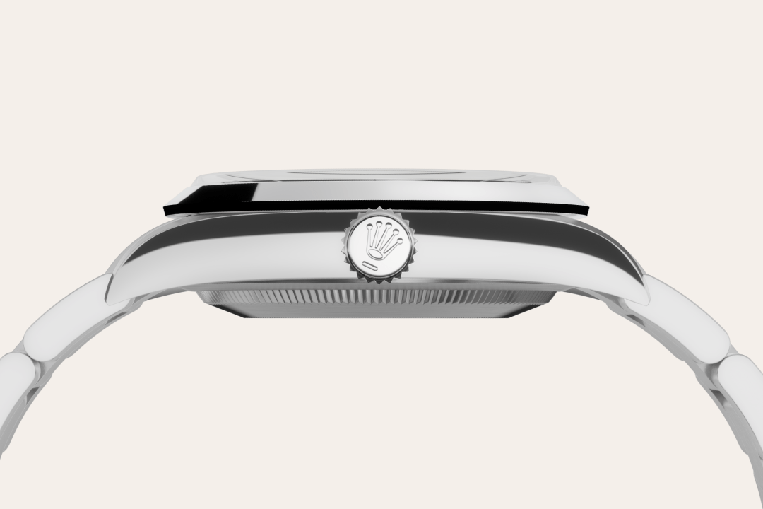 Rolex watch material image
