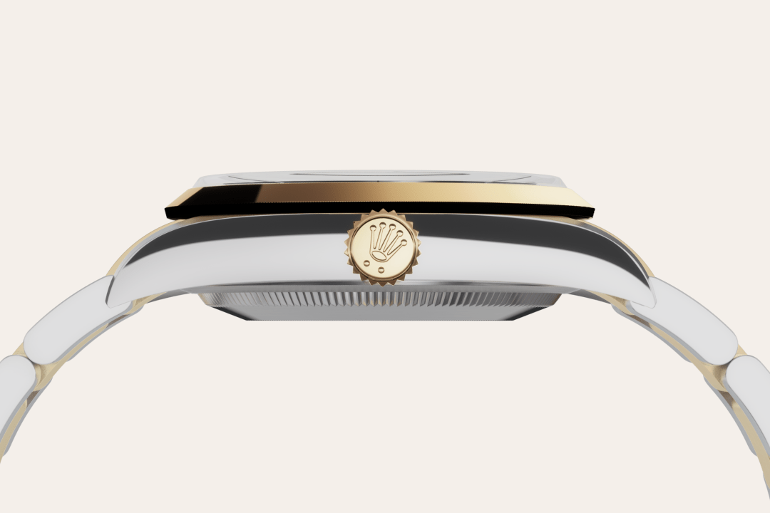Rolex watch material image