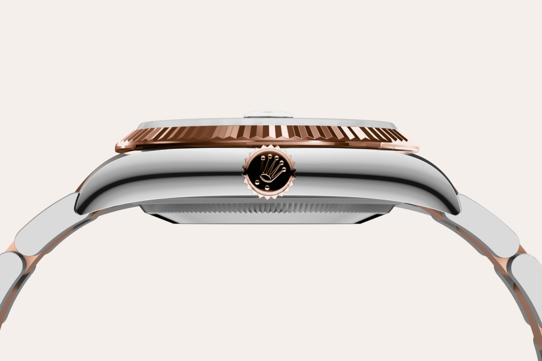 Rolex watch material image