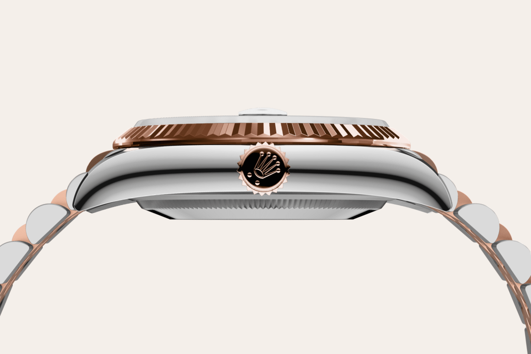 Rolex watch material image