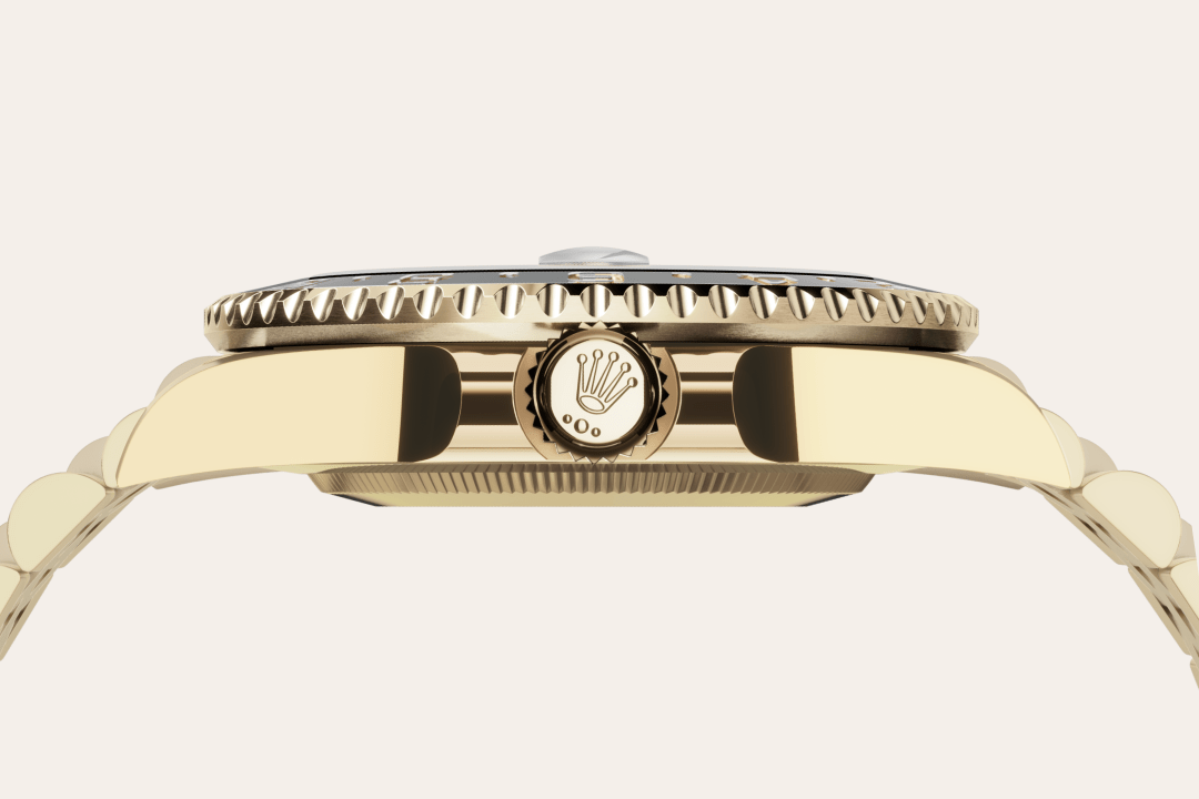 Rolex watch material image