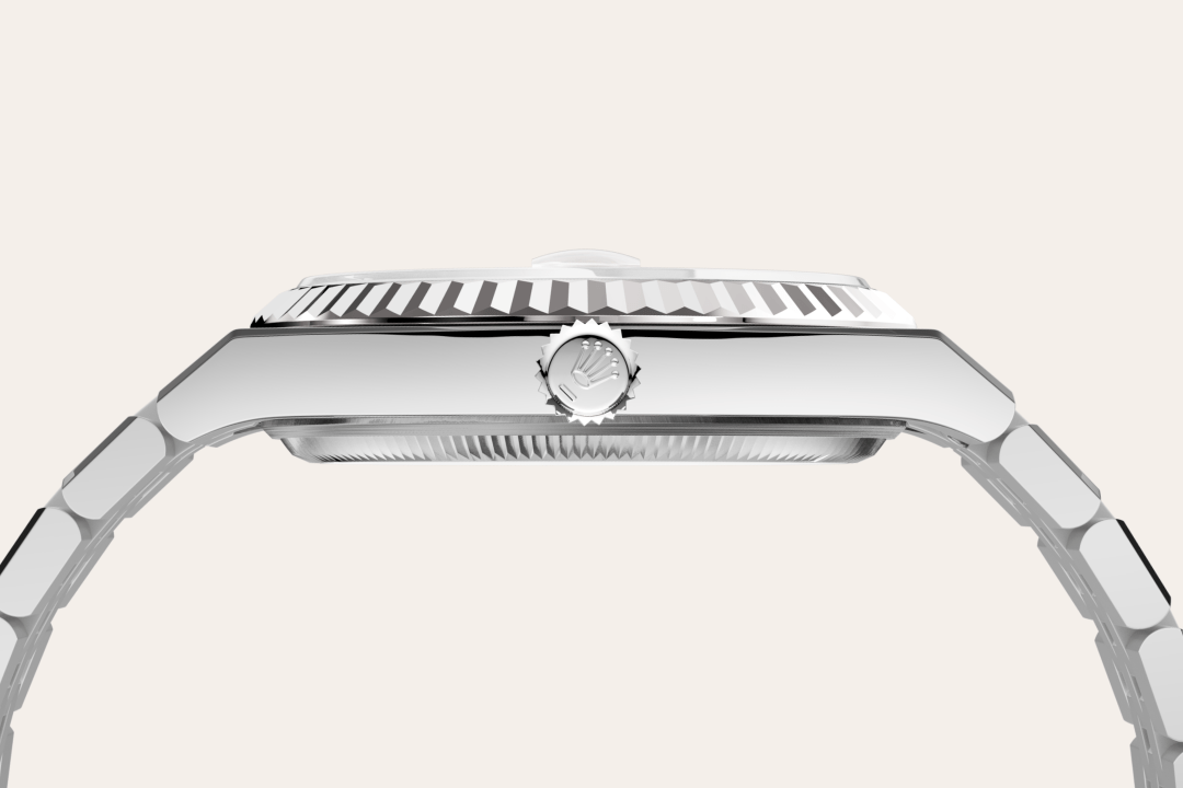 Rolex watch material image