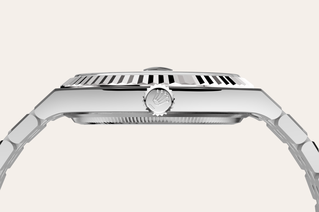 Rolex watch material image