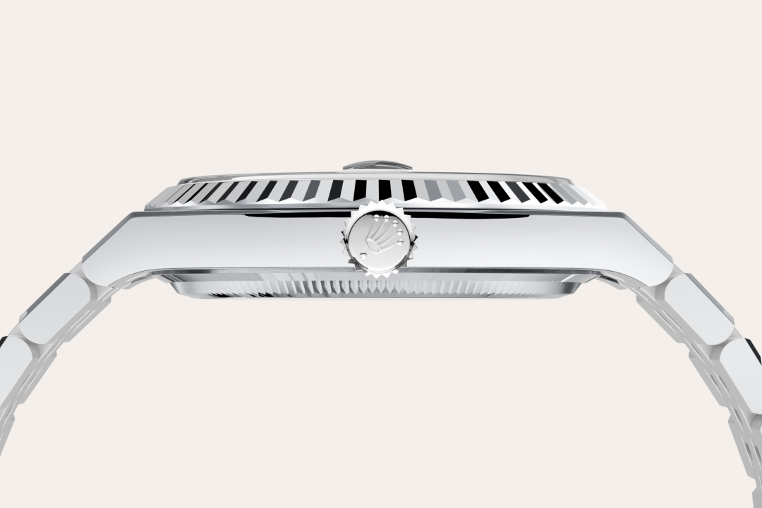 Rolex watch material image