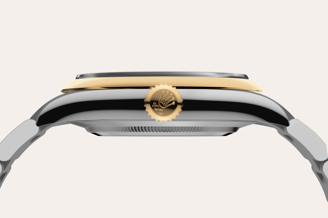 Rolex watch material image