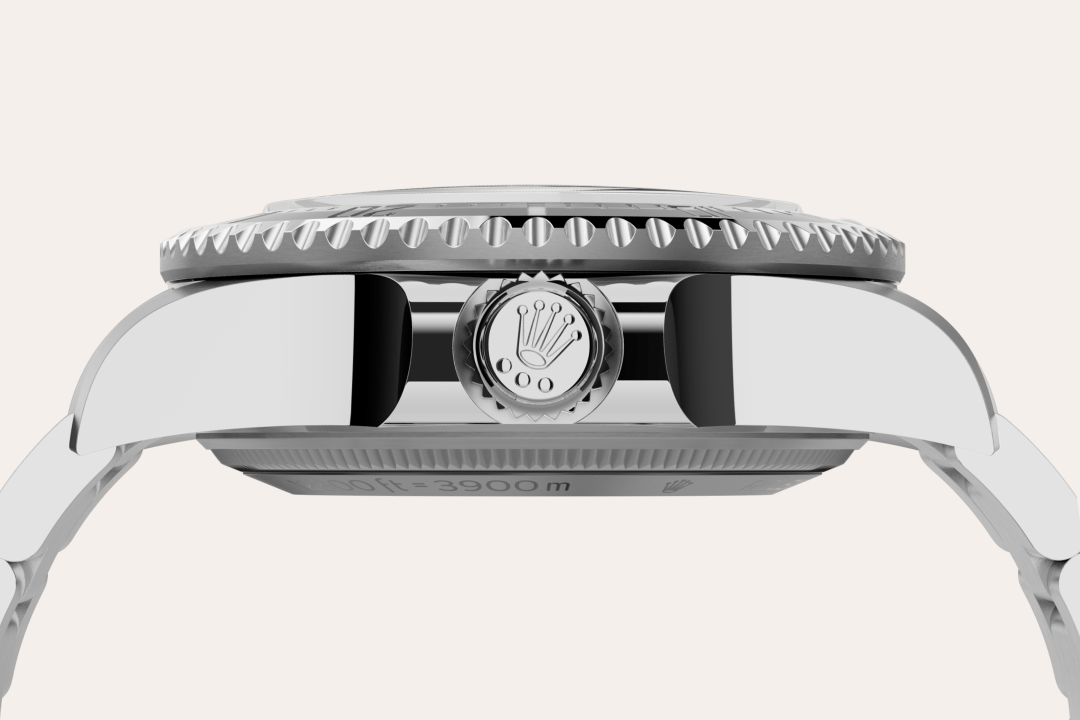 Rolex watch material image
