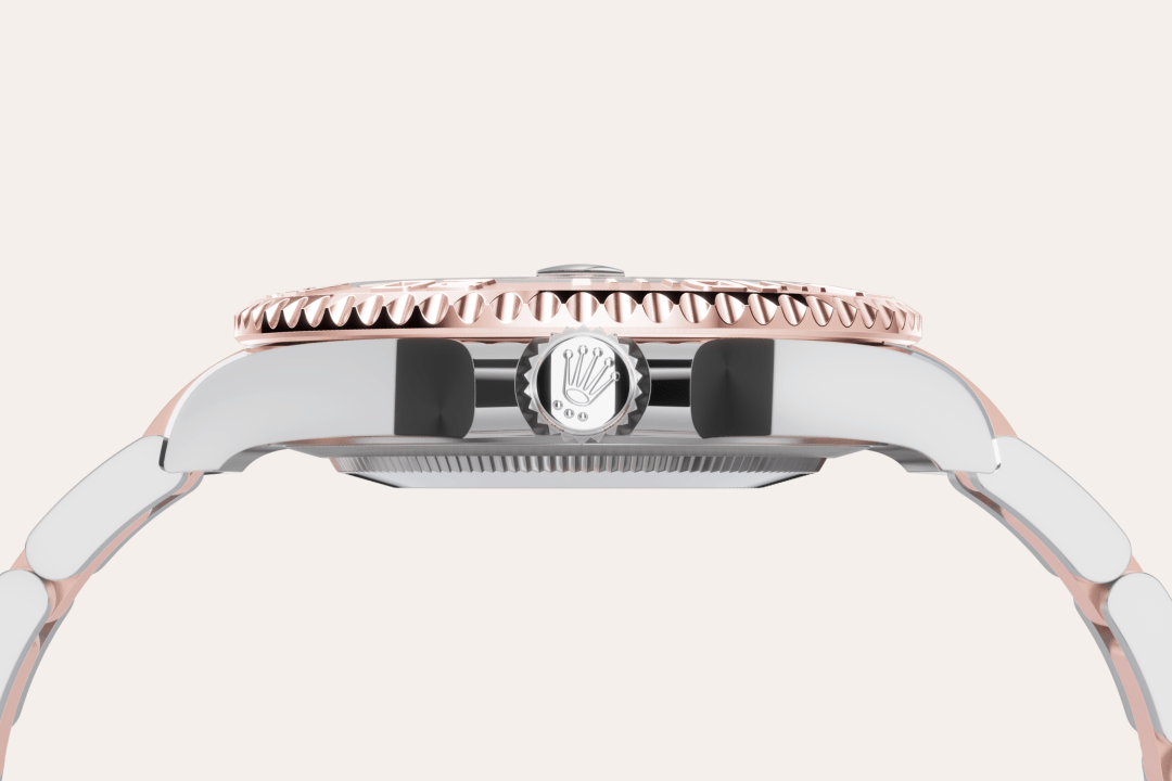 Rolex watch material image