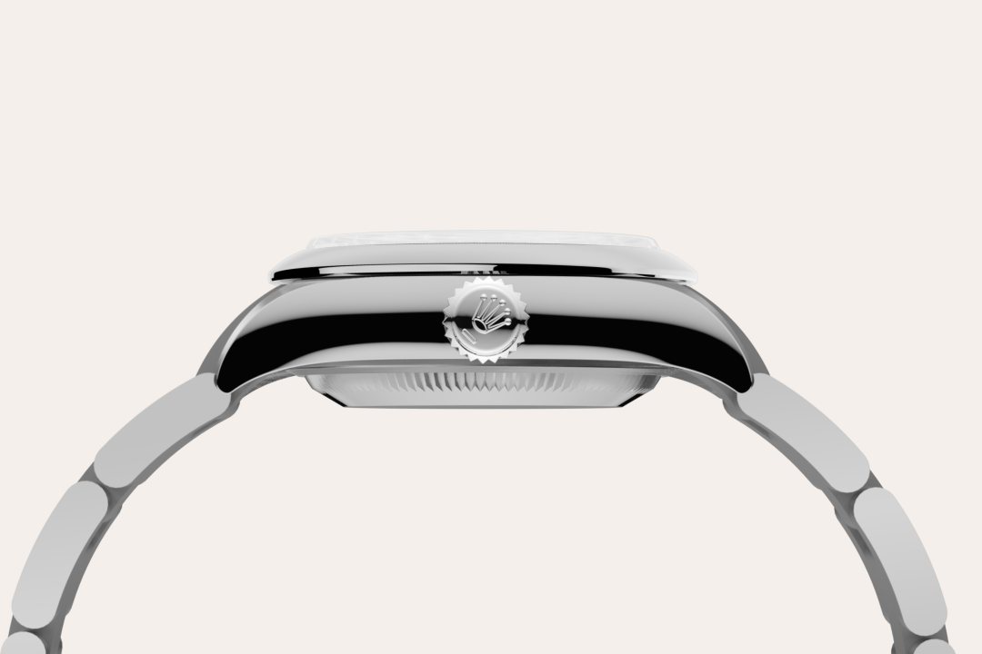 Rolex watch material image