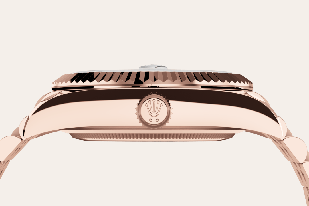 Rolex watch material image