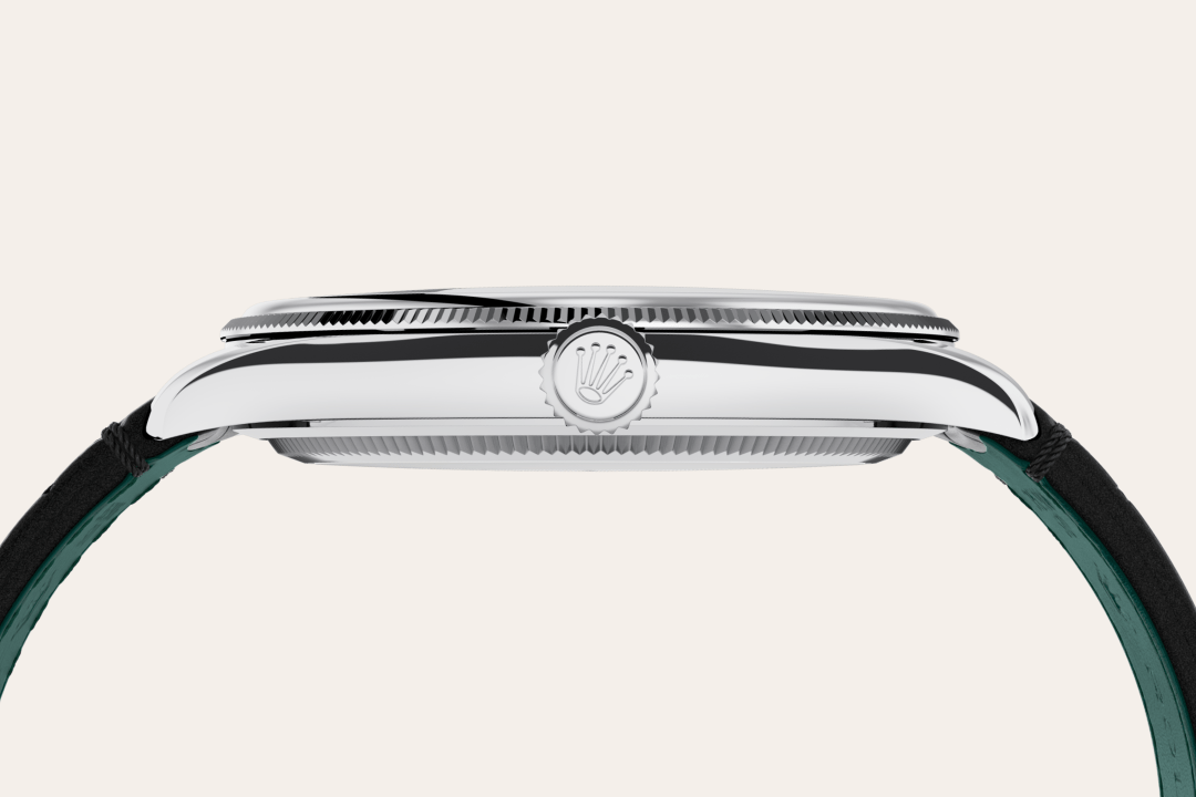 Rolex watch material image
