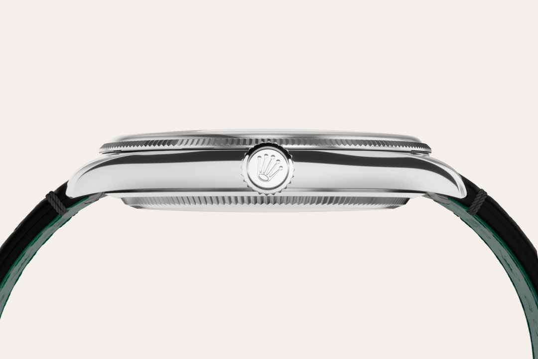 Rolex watch material image