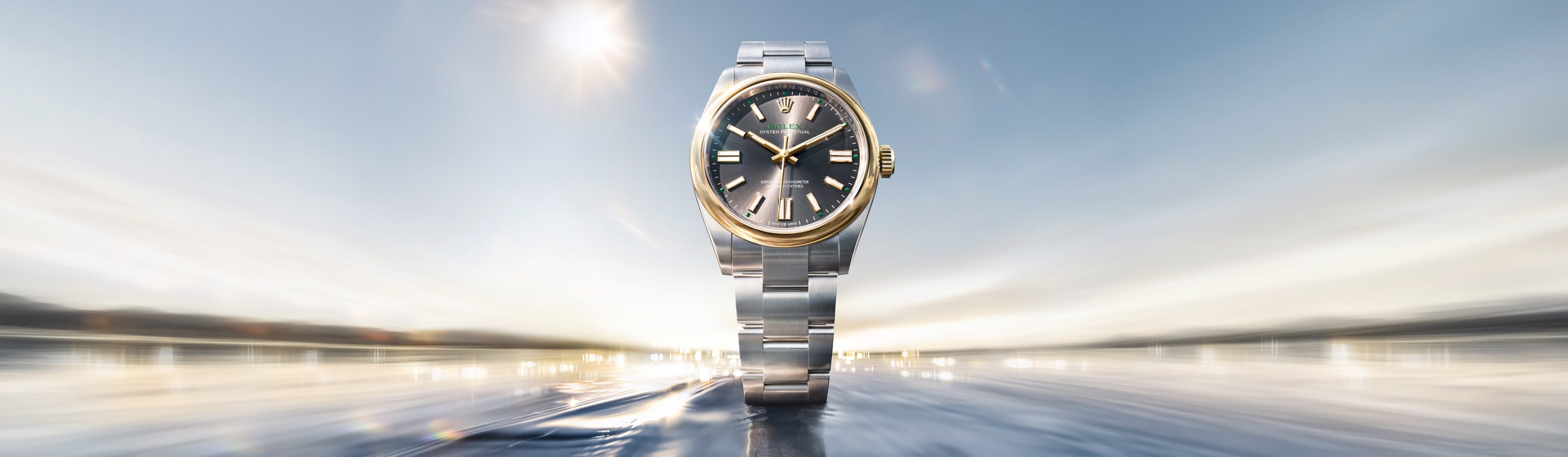 Rolex Oyster Perpetual 41 watch banner