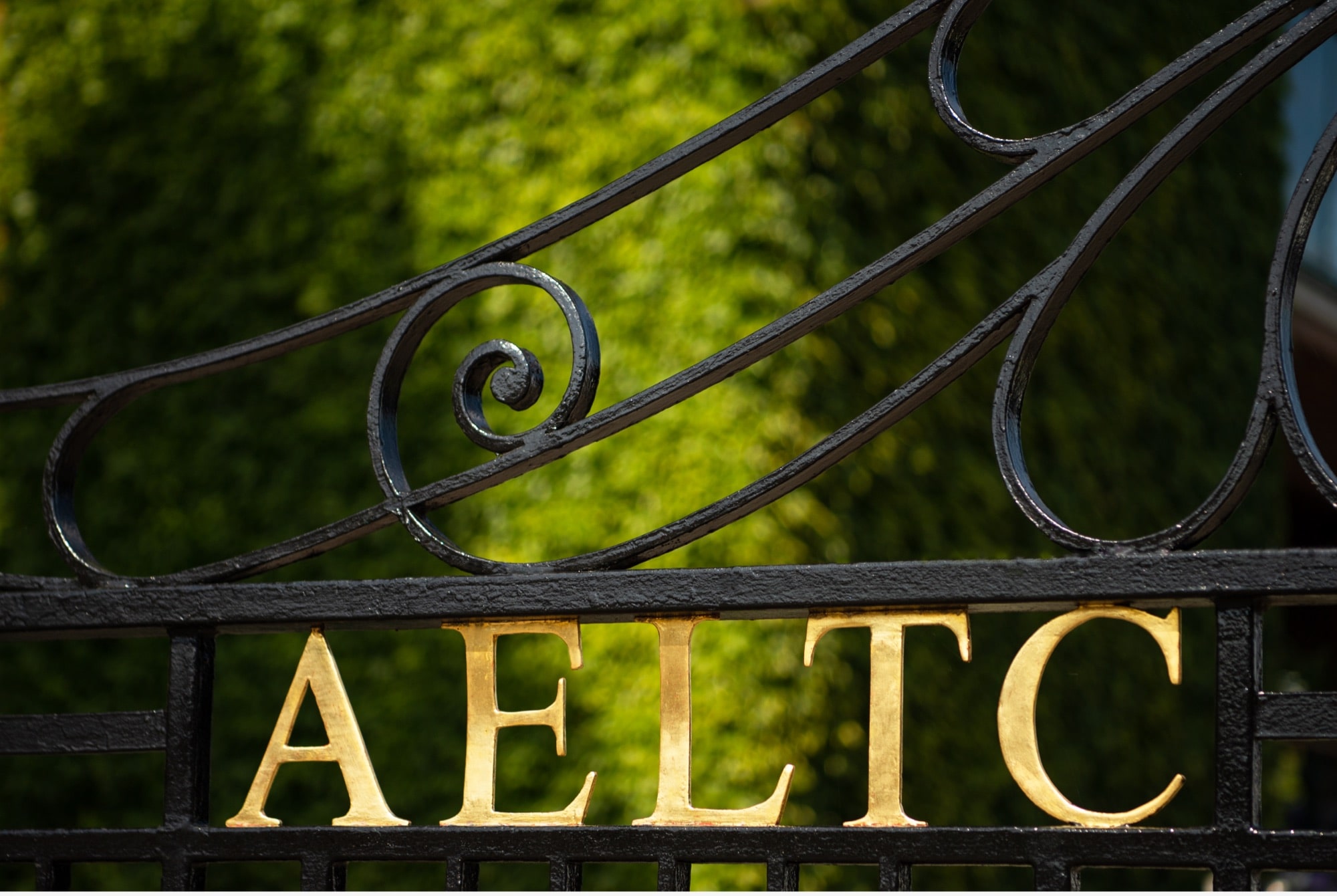 Image of gate with text